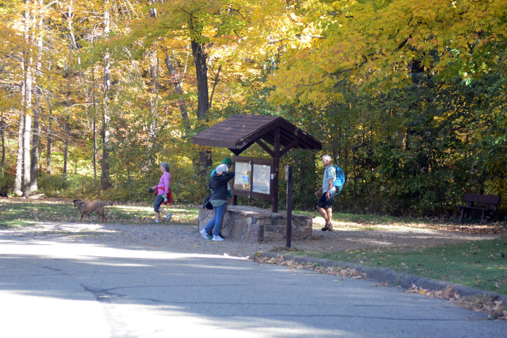 Baraboo area fall color, Oct. 8, 2020